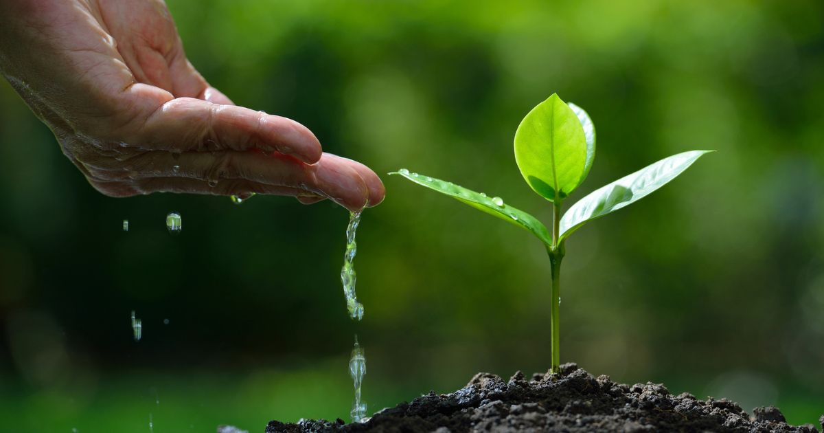 Von Philip SteflKategorien: GefStoff-ProfiSchlagwörter: Sicherheitsdatenblatt, Abschnitt 12, Bioakkumulationspotenzial