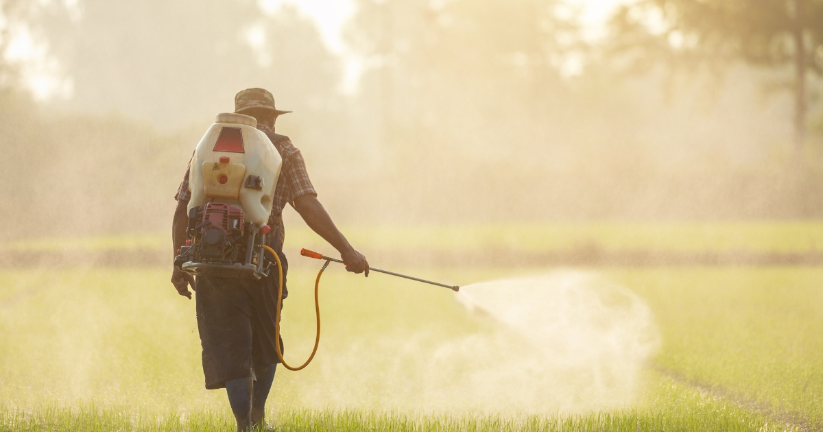 Was sind Persistente organische Schadstoffe (POP)?