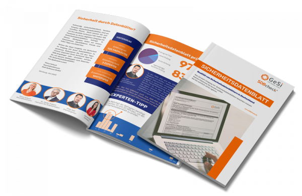 SDB-Whitepaper-Grafik